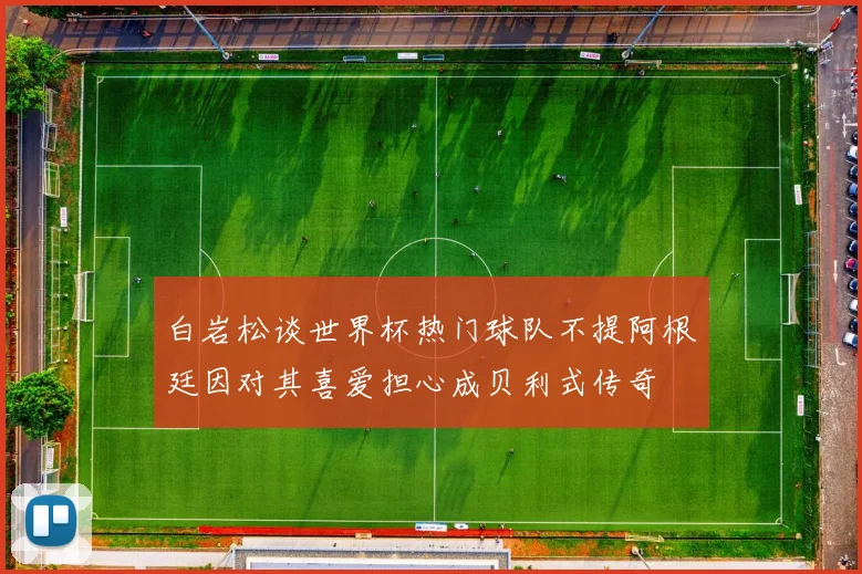 白岩松谈世界杯热门球队不提阿根廷因对其喜爱担心成贝利式传奇